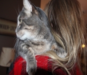 2014 Thanksgiving 090